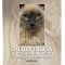 Advanced Cat Care Resources and Inspiration for Cat Rescuers