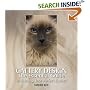 Cattery Design: The Essential Guide to Creating Your Perfect Cattery