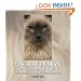 Cattery Design: The Essential Guide to Creating Your Perfect Cattery