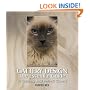 Cattery Design: The Essential Guide to Creating Your Perfect Cattery