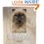 Cattery Design: The Essential Guide to Creating Your Perfect Cattery