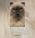 Cattery Design: The Essential Guide to Creating Your Perfect Cattery