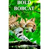 bold bobcat