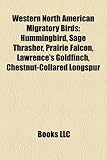 Western North American Migratory Birds: Hummingbird, Sage Thrasher, Prairie Falcon, Lawrence's Goldfinch, Chestnut-Collared Longspur-