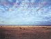 The Great Central Valley: California's Heartland (Centennial Books)