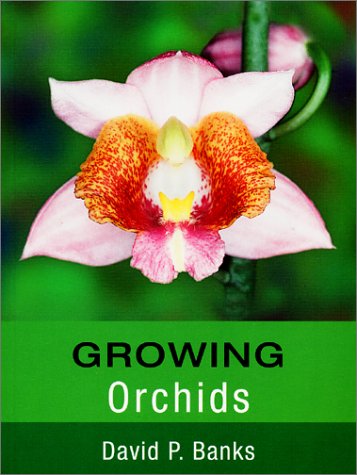 Growing Orchids