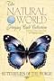 Butterflies of the World Card Game (Natural World Playing Card Collection)