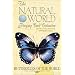 Butterflies of the World Card Game (Natural World Playing Card Collection)