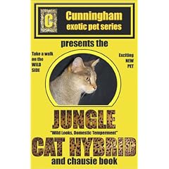 Jungle Cat Hybrid: A Whole New Breed of Cat