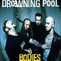 Bodies