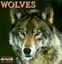 Cal 99 Wolves Calendar