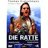 Die Ratte
