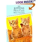 Six Kittens Photo Cards (Small-Format Card Books) by  Walter Chandoha