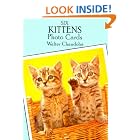 Click here to buy Six Kittens Photo Cards (Small-Format Card Books) by  Walter Chandoha.