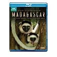 Madagascar [Blu-ray]