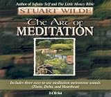 Review Hay House  / The Art of Meditation