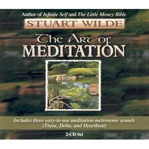 The Art of Meditation by Stuart Wilde