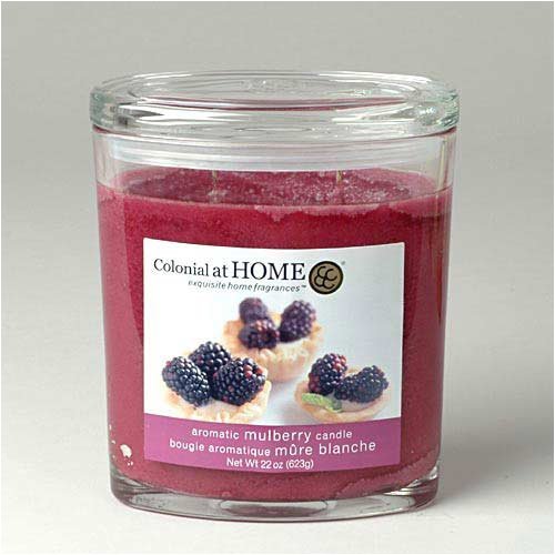 Colonial Candle Mulberry 22 oz Oval Jar Candle