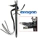 Sporting Goods : Universal Frog and Belt for Eragon Swords
