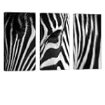 Zebra by GALVII - Afrique Cadre assem...