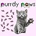 Purrdy Paws 40 Pack Soft Nail Caps for Cat Claws Royal Pink Glitter Medium