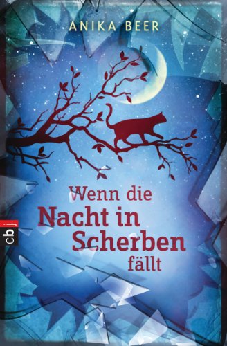 Wenn die Nacht in Scherben fällt (German Edition)