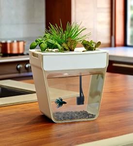 Back to the Roots AquaFarm v2 (Packaging May Vary)