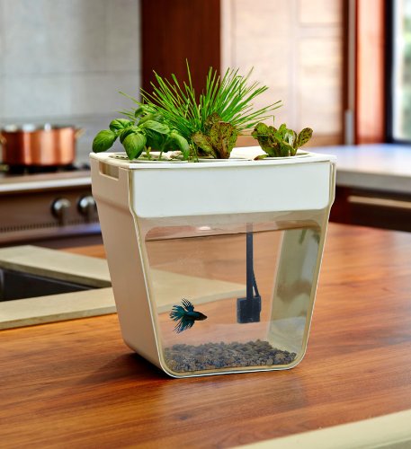 Sorry, we just need to make sure youre not a robot. For best results, please make sure your browser is accepting cookies.