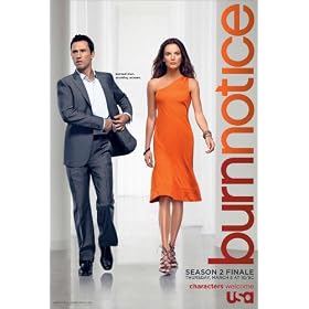 Burn Notice (TV) - Movie Poster - 69x102 cm