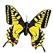 HQRP Pair of Flying Fluttering Butterflies Yellow Swallowtail and Orange Monarch Solar Powered for Patio Garden Decor Plants Flowers