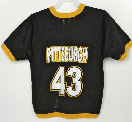 NFL Pittsburgh Steelers Dog Jersey #43 - Polamalu - Size SMALL (12-20 Pounds)