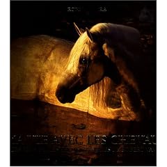 Ma vie avec les chevaux : Les plus belles photographies de Robert Vavra