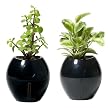 Grobal Self-Watering Flower Pots - Jet Black