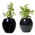 Grobal Self-Watering Flower Pots - Jet Black