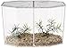 Lee's Betta Keeper Large w/Lid, Gravel and Plant
