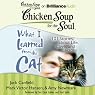 Chicken Soup for the Soul: What I Learned from the Cat: 101 Stories about Life, Love, and Lessons101 Stories about Life, Love, and Lessons