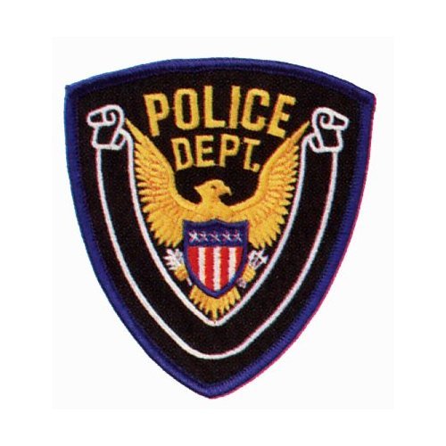 2 (Pair) Eagle Center Police Officer Shoulder Patch Badge Insignia Emblem Blue Border