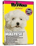 MALTESE DVD: Everything You Should Know!  -  Dog & Puppy Training Bonus Included
