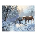 Paint By Number Kit 20"X16"-Frosty