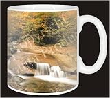 Review Advanta  / AUTUMN WATERFALL Coffee Mug