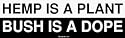 HEMP IS A PLANT BUSH IS A DOPE Bumper Sticker