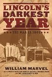 Lincoln`s Darkest Year: The War in 1862