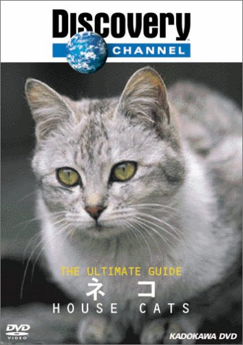 �ǥ������Х꡼�����ͥ� The Ultimate Guide �ͥ�