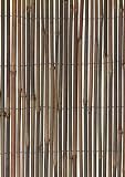 13'x5' Bamboo Fencing