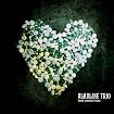 This Addiction