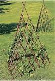 Expandable Tee Pee Trellis