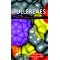 Fullerenes & Carbon Nanotubes