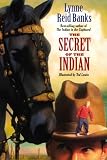 The Secret of the Indian (Indian in the Cupboard)