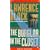 The Burglar in the Closet (Bernie Rhodenbarr Mystery)