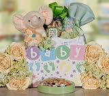 Baby Peanuts Gourmet Food Gift Basket